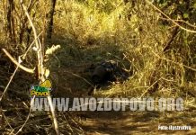 GUIMARÂNIA: HOMICÍDIO CONSUMADO NA ZONA RURAL, CORPO DE MULHER É ENCONTRADO COM SINAIS DE VIOLÊNCIA. A VÍTIMA POSSIVELMENTE FOI AGREDIDA COM “PEDRADAS” E TEVE MAIOR PARTE DO CORPO QUEIMADO.