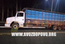 CAMINHONEIRO DE RIO PARANAÍBA VIVE MOMENTOS DE TERROR NA NOITE ESTA SEGUNDA-FEIRA (15), AO SER ALVO DE CRIMINOSOS NA BR 146 EM SERRA DO SALITRE.