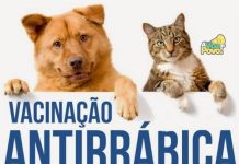 BREJO BONITO: CAMPANHA DE VACINAÇÃO ANTIRRÁBICA ACONTECE NESTA QUINTA FEIRA DIA (29).