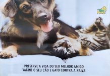 CRUZEIRO DA FORTALEZA: VACINAÇÃO ANTIRRÁBICA ACONTECE NESTA SEXTA FEIRA (23) NA “PRAÇA DO SANTUÁRIO”.