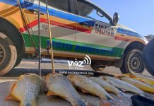 Piracema: A pesca está proibida até fevereiro de 2025.